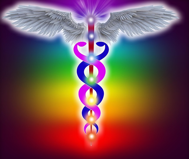 How Celibacy Affects the Soul:The Soul and the Serpent/Life-Force Energy