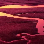 Blood Sacrifices: What They Don’t Want You To Know